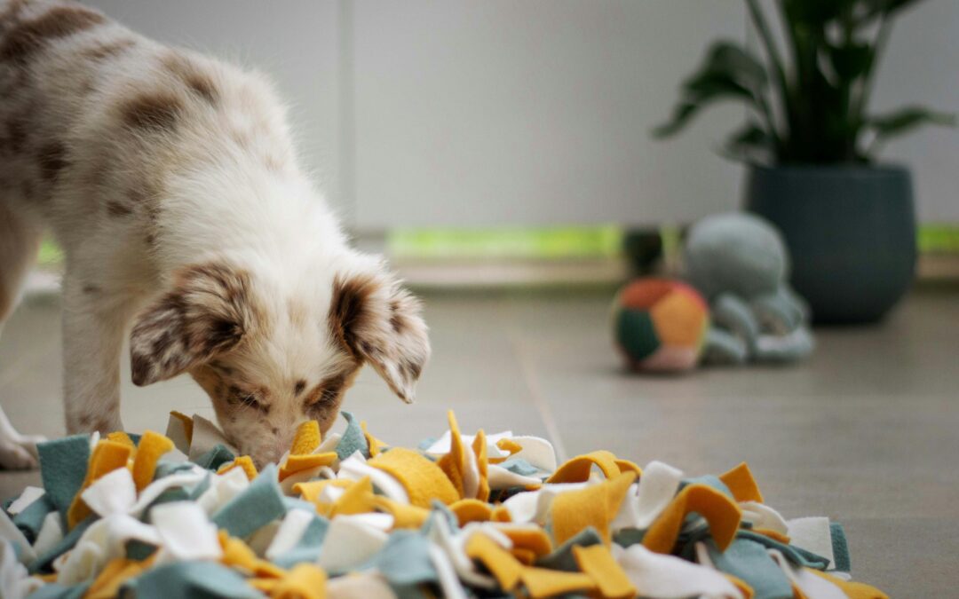Common Toxins Pets Get Into